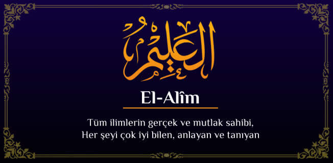 el_alim-150-.jpg (26 KB)